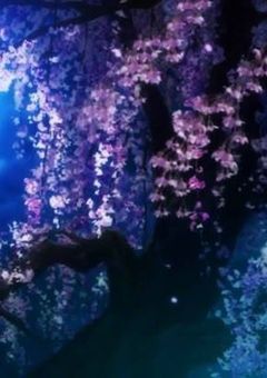淡い桜が降る春の季節の中で､僕達はまだあの魔法使いの少女の名前を知らない