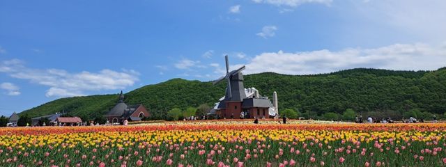 ぷ～ぷ～さんの壁紙画像