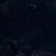 水素さんのアイコン画像