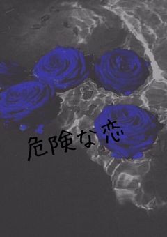 危険な恋 （休止中）