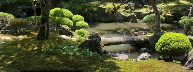 影向 早苗(Yogo Sanae)さんの壁紙画像