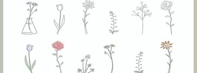 メサさんの壁紙画像