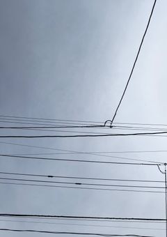 💩（キャラ紹介的な）