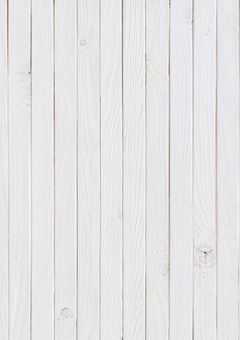 　【ばにちゃん公式FC】　