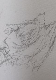 創作達のイラスト集