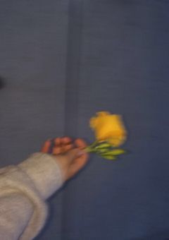 期限付きの恋なのに、心だけは契約違反。