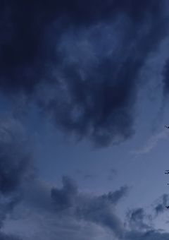 朝の電車で、いつも会う君。