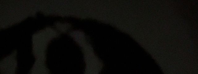 るか #ふぉろば100%さんの壁紙画像