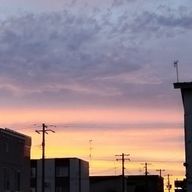 ぬゆさんのアイコン画像