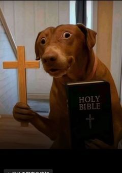 模範人間 専ノ😘🫵🏻