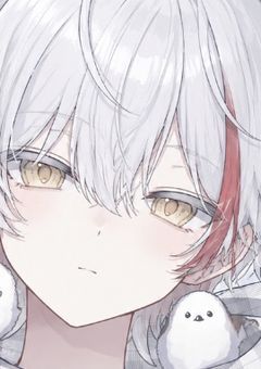 ─•⋅⊰༻ 🅿️ / 猫派のつどぃ 。 ༺⊱⋅•─