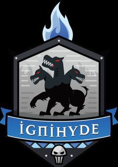 イグニハイドの副寮長はエースの双子でした。