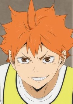 日向の双子の妹はヒーロー科。