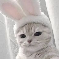 神崎さんのアイコン画像
