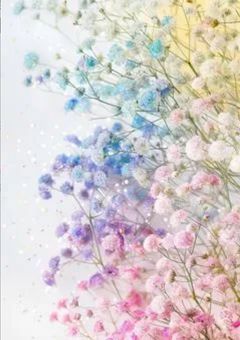 「大型参加型」〆4つの組で起こる日常『2j3j』