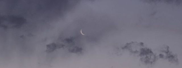 まふぃんさんの壁紙画像