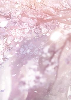 桜の下での約束