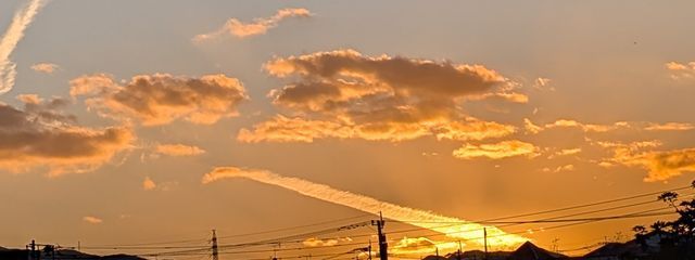 狐ノ宮さんの壁紙画像