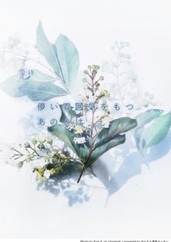 儚い雰囲気をもつあの人は____