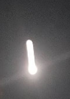 忘れられた存在.