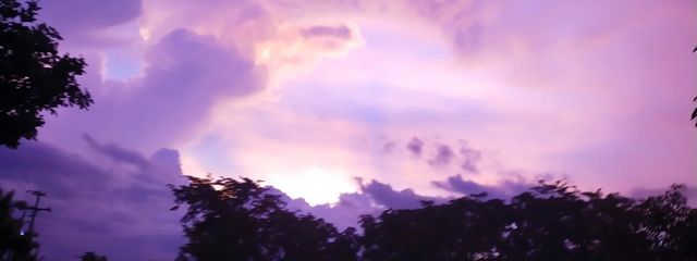 　紫 音 夜 雨　#ていふさんの壁紙画像