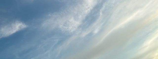Aileyさんの壁紙画像