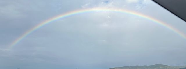 墨色猫さんの壁紙画像