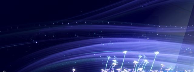 闇夜(あんよ)　棺さんの壁紙画像