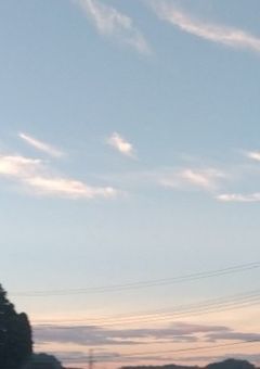 君年小ネタ、設定、キャラ紹介などなど