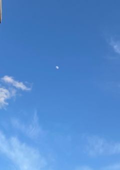 モブでいたいので、そっとしておいて下さい。