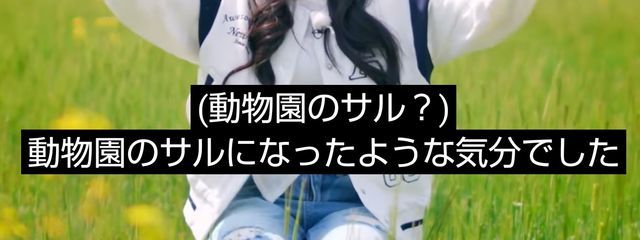 노하네໒꒱さんの壁紙画像