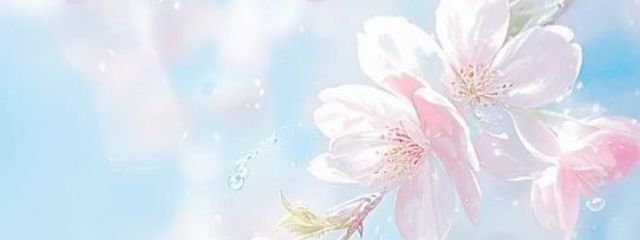 杏優美　萌歌さんの壁紙画像