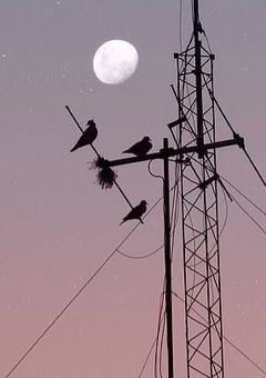 ♡　はにかんで　リラルララ　♡