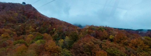 にっとぼー2さんの壁紙画像