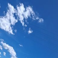 五月雨　麗羽　(さみだれれう)さんのアイコン画像
