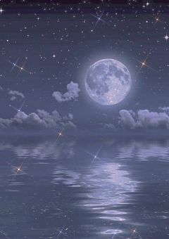 スタマジ　失われた魔法少女　☆*:.｡. 公式ブック .｡.:*☆