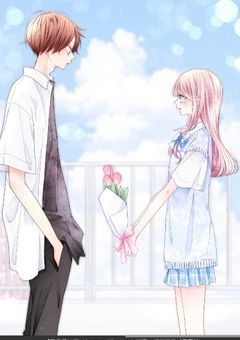 花言葉は調べないで