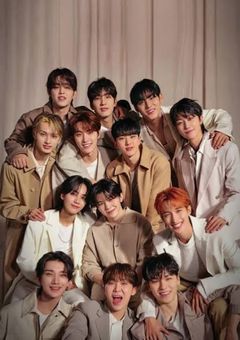 半猫幼児に嫁達はなりました