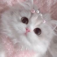 　　唯愛　　さんのアイコン画像