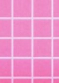 音のセカイに住むウマ娘の子達