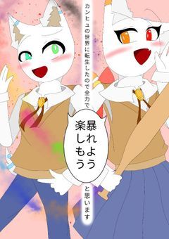 カンヒュの世界に転生したので全力で楽しもう（暴れよう）と思います