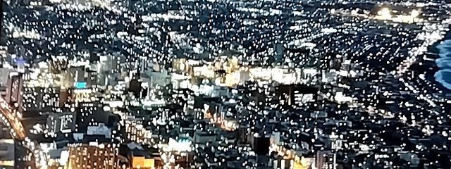 大麦　こむぎ　さんの壁紙画像