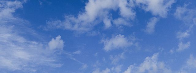 奏＿冬眠中さんの壁紙画像