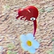 奏＿冬眠中さんのアイコン画像