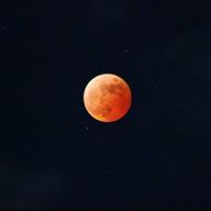 みかんとなすびのトマトソース添えさんのアイコン画像