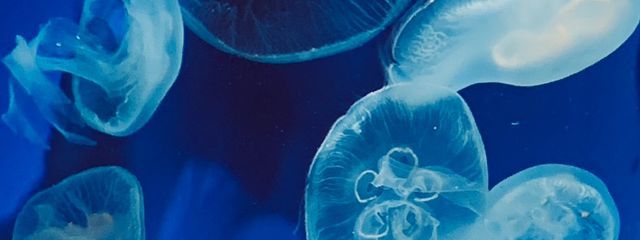 山田さんの壁紙画像