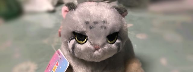 北海ちゃん　(まくらちゃん)さんの壁紙画像