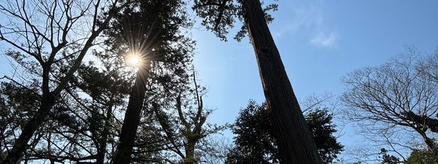 麗奈さんの壁紙画像