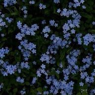 麗奈さんのアイコン画像