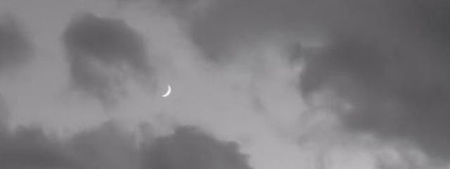 ほうじちゃさんの壁紙画像